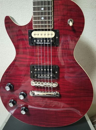 Burny 550 les paul - lg-550,
